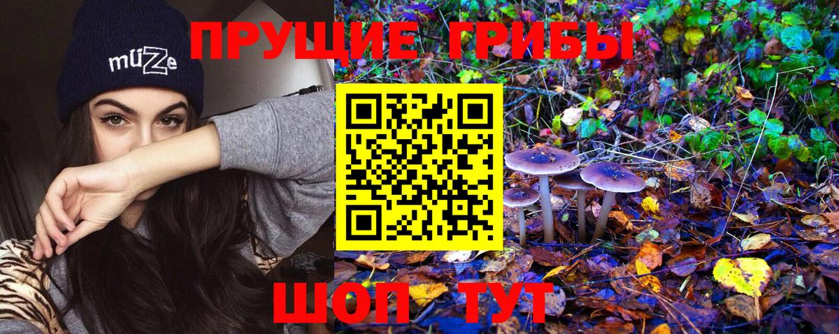 Карталы  Галлюциногенные грибы Psilocybe  Вход с VPN 